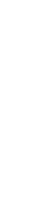 Our Company